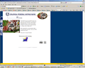 Example of retail web design