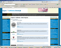 Manufacturing web site design