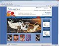 Example of web design