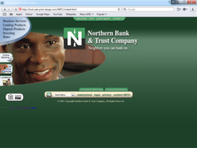 Example of Banks and Financial Bank Web Site Designers