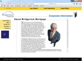 Example of Banks and Financial Financial Services Internet Promotion