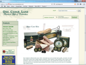 Example of Retail Clothing and Accessories Best Web Design