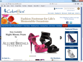 Example of Retail Clothing and Accessories Web Site Design