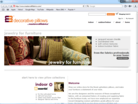 Example of Retail Clothing and Accessories internet marketing company