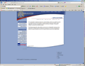 Example of professional web site design