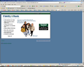 Example of retail web design