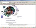 Example of web site design service
