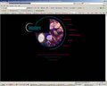 OS commerce e-commerce web design