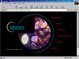 web site design firm, Programming