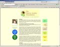 Non Profit Web Designers