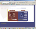 Example of website design