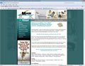 Example of plumbing NH website design