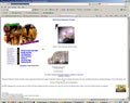 Non Profit Web Designers