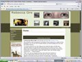 Author web design