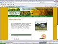 Farming web site design