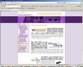 Example of a consultants web design