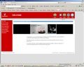 Manufacturing web site design