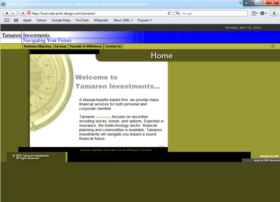 Example of Banks and Financial Financial Services Web Design Company