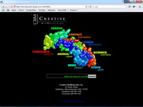 Example of Health Care Pharma and Professionals Health Care and Insurance Website Promotion