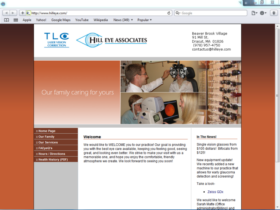 Example of Health Care Pharma and Professionals Health Care and Insurance internet marketing strategy