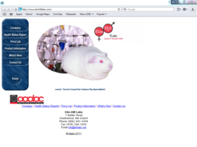 Example of Manufacturing Materials and Heavy Equipment web design company
