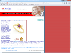Example of Retail Clothing and Accessories Small Business Consultant