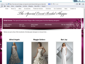 Example of Retail Clothing and Accessories search engine marketing