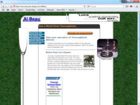 Example of Retail Sports and Health Search Engine Optimization