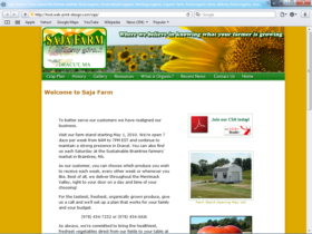 Example of Retail Sports and Health web site design company