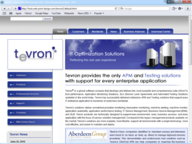 Example of Software and TeleCom Internetworking and Related Real Estate Web Design