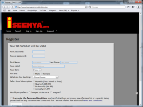 Example of Retail Gifts Arts and Other Search Engine Companies