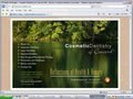 Dentist web design