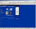 Example of web site design service