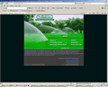 Restaurant web design