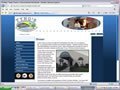 Medical web site design