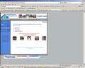 Affordable real estate website design